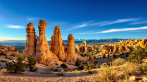 Desert landscape featuring tall, orange-red rock formations known as hoodoos, set against a clear blue sky. The foreground shows sparse vegetation, including small pine trees and dry grasses. In the distance, more hoodoos extend across the terrain, and a range of mountains is visible on the horizon under soft, white clouds.